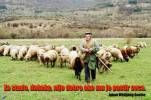 Ako je pastir ovca - Uvećani prikaz fotomontaza.php?s_vjest_id=18&ako-je-pastir-ovca