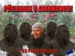 Pčelinjak u jabukovcu! Tko praši maticu? - Uvećani prikaz fotomontaza.php?s_vjest_id=47&pcelinjak-u-jabukovcu-tko-prasi-maticu